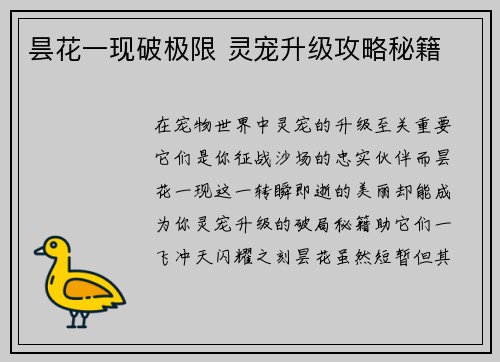 昙花一现破极限 灵宠升级攻略秘籍